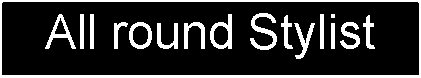 Text Box: All round Stylist